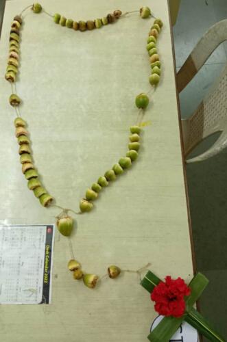 WhatsApp Image 2022-10-07 at 13.37.30 (3)