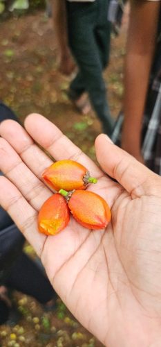 WhatsApp-Image-2025-08-23-at-10.05.58-1