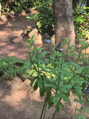 WhatsApp-Image-2025-11-20-at-21.11.40