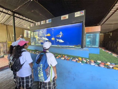 WhatsApp-Image-2025-11-20-at-21.11.41-1