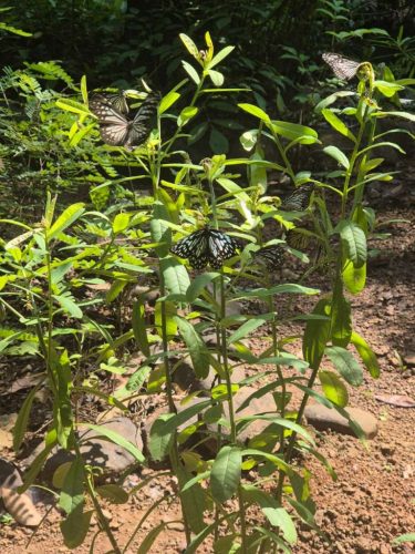 WhatsApp-Image-2025-11-20-at-21.11.41