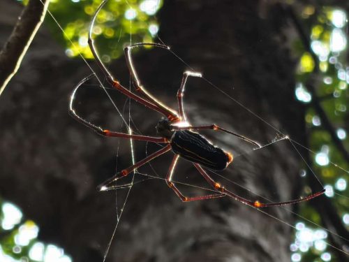 WhatsApp-Image-2025-11-20-at-21.12.05