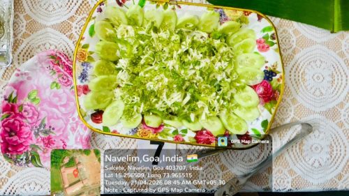 WhatsApp-Image-2026-04-21-at-14.06.07