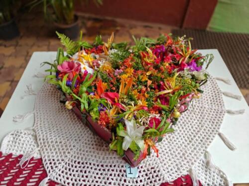 WhatsApp Image 2023-09-08 at 12.31.57