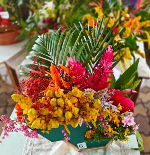 WhatsApp Image 2023-09-08 at 12.32.01 (2)