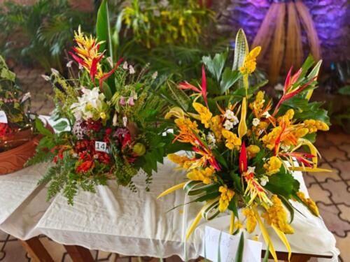 WhatsApp Image 2023-09-08 at 12.32.02