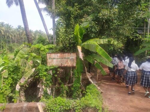 WhatsApp Image 2024-03-27 at 19.20.21