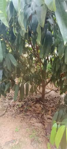 WhatsApp Image 2024-03-27 at 19.27.15