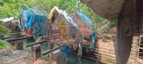 WhatsApp Image 2024-03-27 at 19.27.25