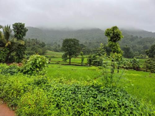 WhatsApp Image 2024-08-24 at 16.09.25