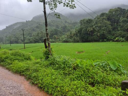 WhatsApp Image 2024-08-24 at 16.11.58