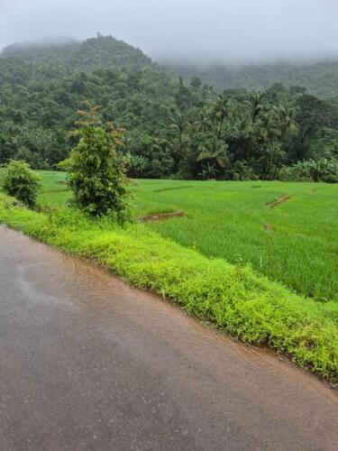 WhatsApp Image 2024-08-24 at 16.11.59