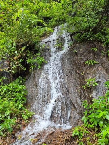 WhatsApp Image 2024-08-24 at 16.13.36