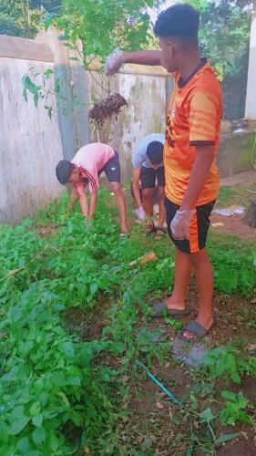 WhatsApp Image 2024-11-12 at 15.16.04 - Copy