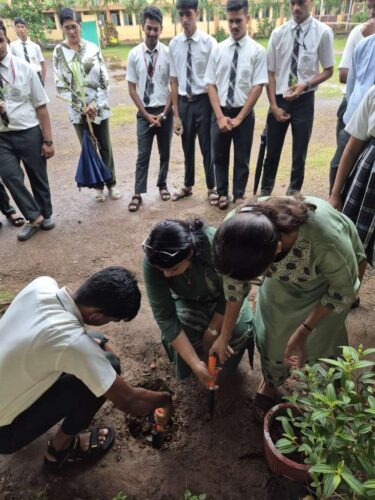 WhatsApp Image 2025-07-05 at 09.33.24 (1)