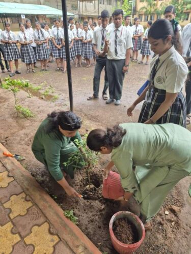 WhatsApp Image 2025-07-05 at 09.49.18