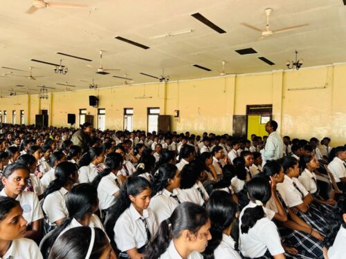 WhatsApp Image 2025-07-08 at 15.39.33